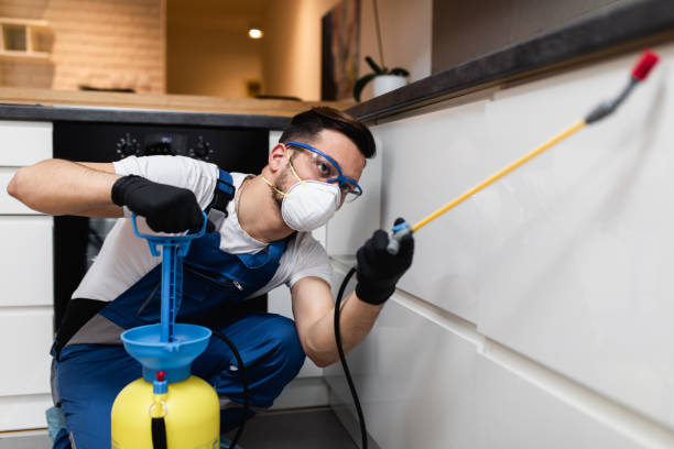 Best Cockroach Control Services  in Texarkana, TX