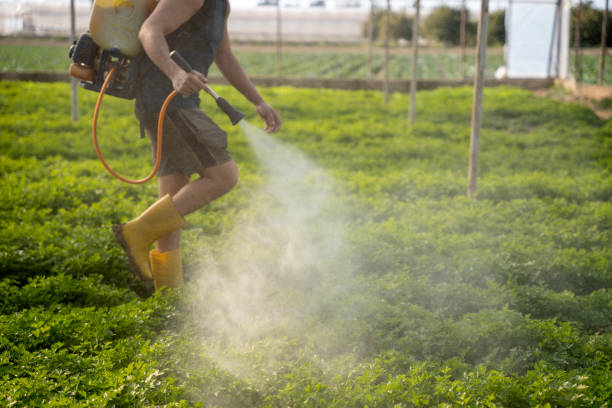 Best Pest Removal Services  in Texarkana, TX