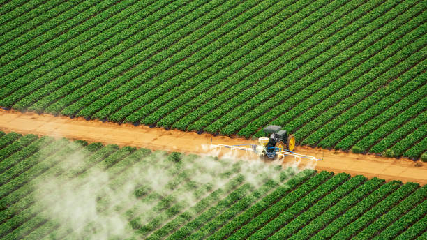Best Mosquito Control Services  in Texarkana, TX