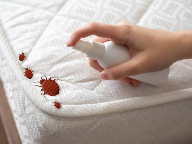 Best Pest Inspection Near Me  in Texarkana, TX