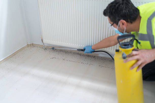 Best Best Pest Control Companies  in Texarkana, TX